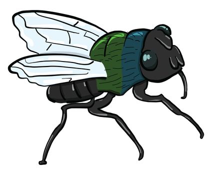 Small fly insect , illustration, vector on white background