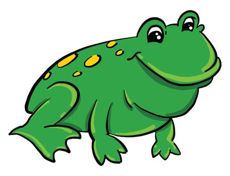 Green frog , illustration, vector on white background