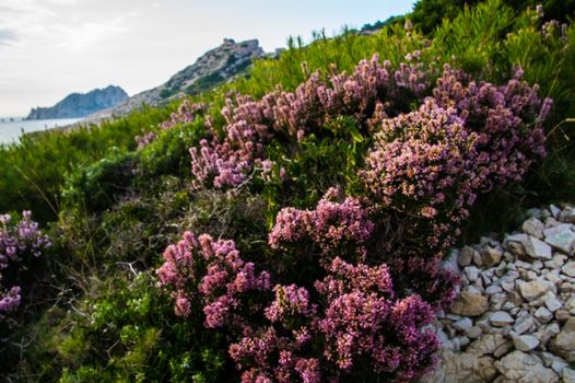 marseille,les goudes,bouche du rhone, france