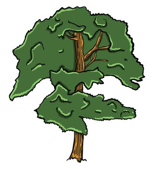Green tree , illustration, vector on white background