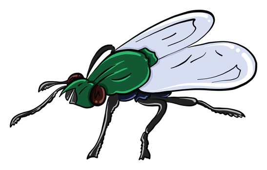 Green fly , illustration, vector on white background