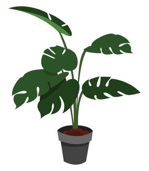 Home plant tree , illustration, vector on white background