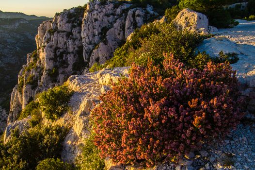 marseille,calanque,bouche du rhone, france