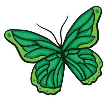 Green butterfly , illustration, vector on white background