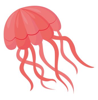 Pink jelly fish , illustration, vector on white background