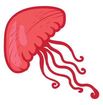 Red jellyfish , illustration, vector on white background