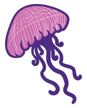 Pink jellyfish , illustration, vector on white background
