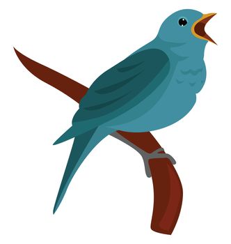 Nightingale bird , illustration, vector on white background