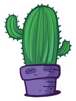 Cactus in pot , illustration, vector on white background