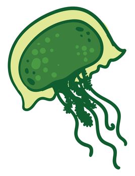 Green jellyfish , illustration, vector on white background
