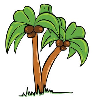 Two palm trees , illustration, vector on white background