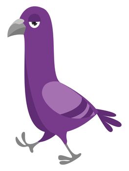 Purple pigeon , illustration, vector on white background