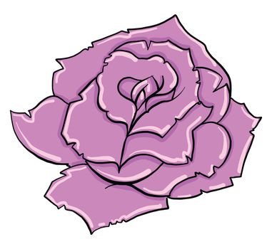 Pink rose , illustration, vector on white background