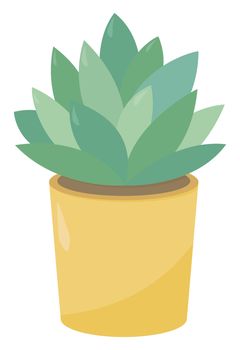 Plant in yellow pot , illustration, vector on white background