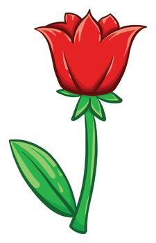 Red poppy , illustration, vector on white background