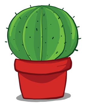 Round cactus in pot , illustration, vector on white background