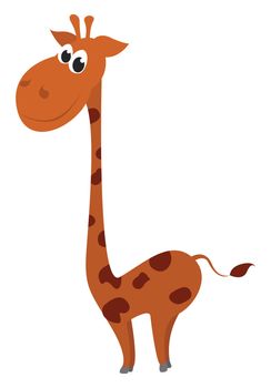 Smiling giraffe , illustration, vector on white background