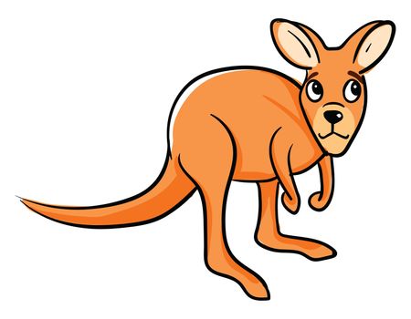 Sad kangaroo , illustration, vector on white background