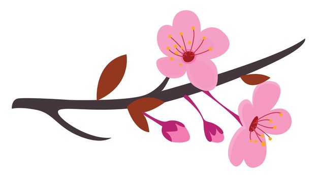 Sakura tree , illustration, vector on white background