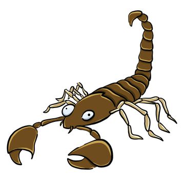 Brown scorpio , illustration, vector on white background