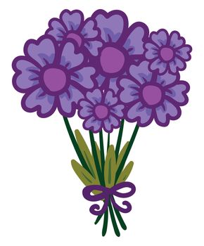 Purple flowers bouquet , illustration, vector on white background