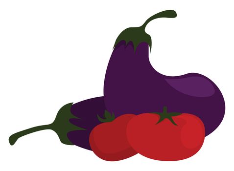 Fresh vegetables , illustration, vector on white background