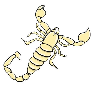 Yellow scorpion , illustration, vector on white background