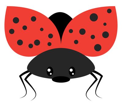 Ladybug flying, illustration, vector on white background