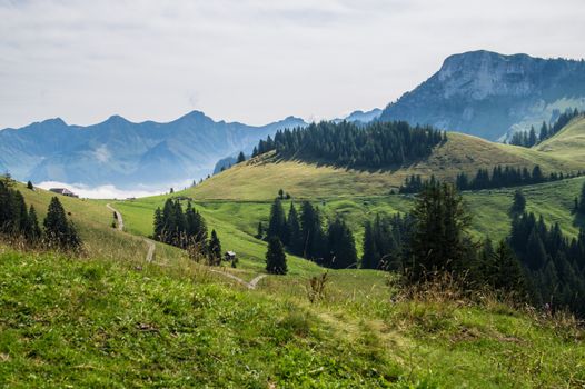 saletta,paccots,chapelle saint denis,swiss