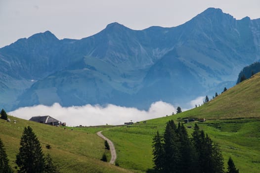 saletta,paccots,chapelle saint denis,swiss