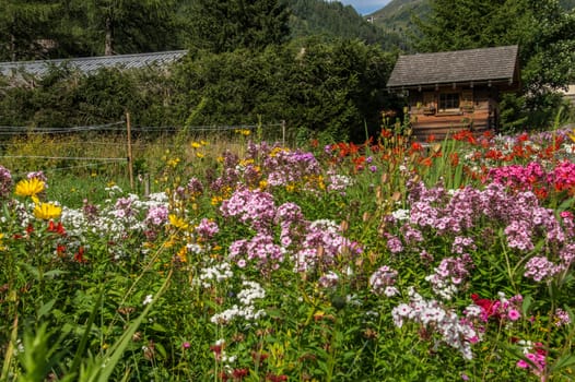 montroc,chamonix,haute savoie,france