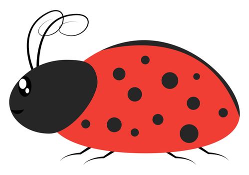 Ladybug in profile, illustration, vector on white background