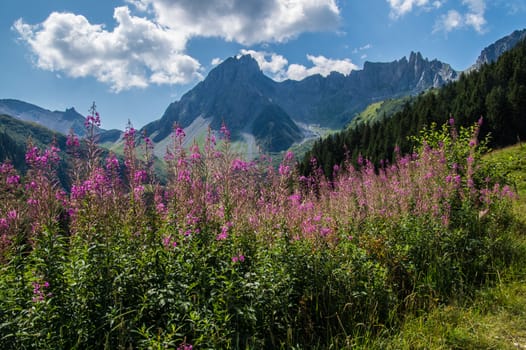 refuge nant borrant,comtamines,haute savoie,france