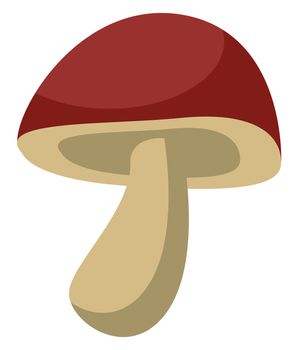 Forest mushroom, illustration, vector on white background