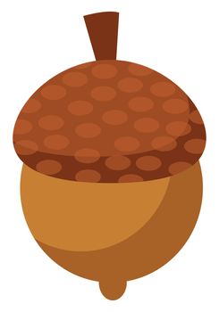Small nut, illustration, vector on white background