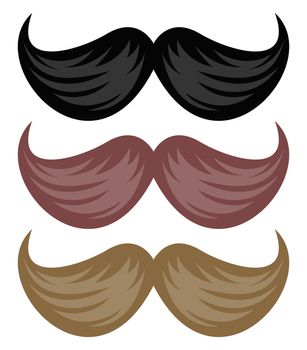 Mustaches, illustration, vector on white background