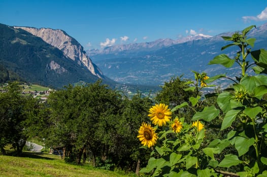 ergisch,valais,swiss