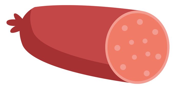 Salami meat, illustration, vector on white background