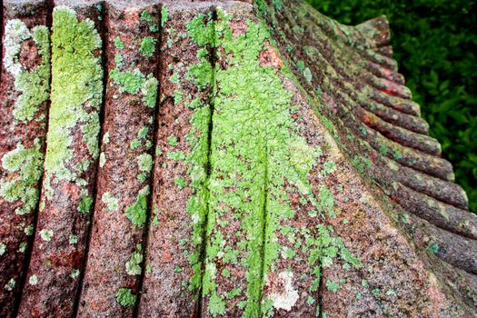 Lichen on the roof of the stone pavilion modeled in the garden