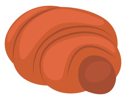 Sweet potato, illustration, vector on white background