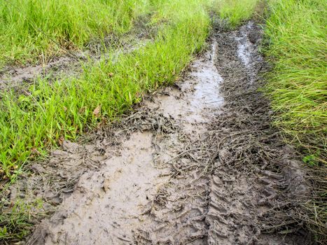 Tire tracks of truck on the mud