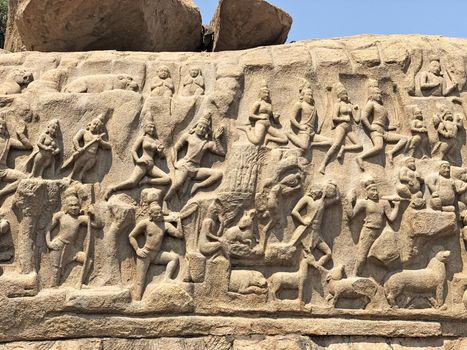 Descent of the Ganges is one of the Group of Monuments at Mahabalipuram and it is a UNESCO World Heritage Site. It is a giant open-air rock cut bas relief sculptures carved on two monolithic rocks. The story depicted in the relief is the descent of the sacred river Ganges to earth from the heavens. The relief was created by Narasimhavarman-1 to celebrate the victory over Chalukiya king. There are 146 sculptures of animals, God, people and half-humans carved in the rock relief.
