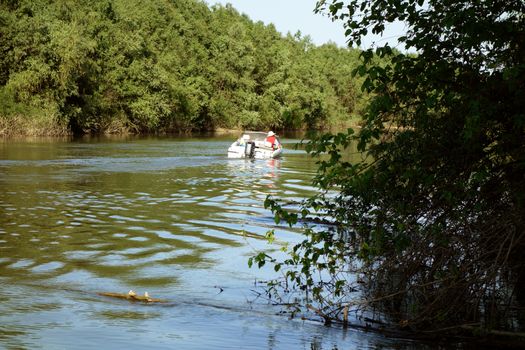 Spring trips on the arms of the Danube river.
Here the spontaneous flora on an April day, on the island and the Trămșani arm.