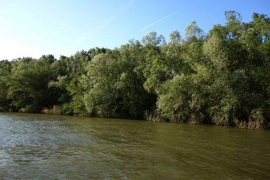 Spring trips on the Danube river.
Here meadow forests on an April day, on the shores
Danube.