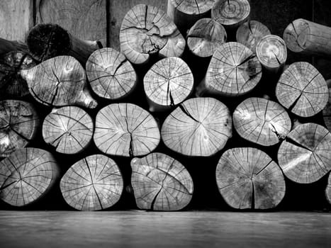 Stacked of firewood logs