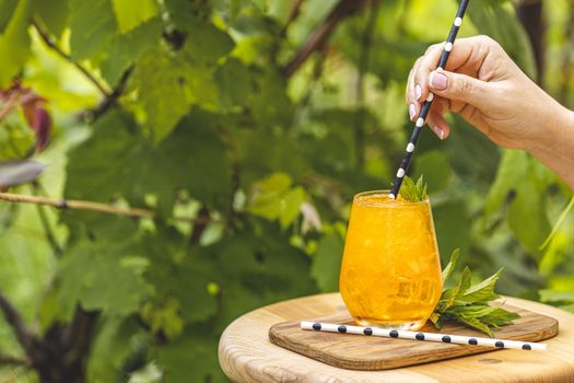 Woman hand holding drinking straw over orange drink with ice on summer sunny garden background. Fresh cocktail drinks with ice fruit and herb decoration. 