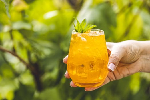 Woman hand holding orange drink with ice on summer sunny garden background. Fresh cocktail drinks with ice fruit and herb decoration. 