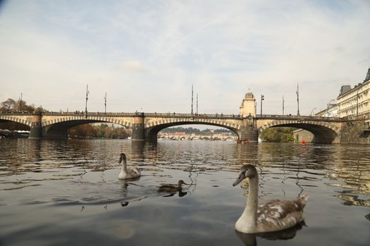 Tourist boat Europe