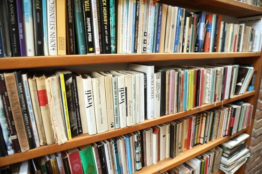 Books in the Library