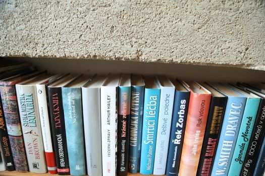 Books in the Library